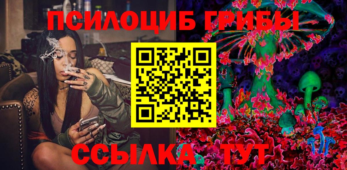 Галлюциногенные грибы Psilocybine cubensis Подольск